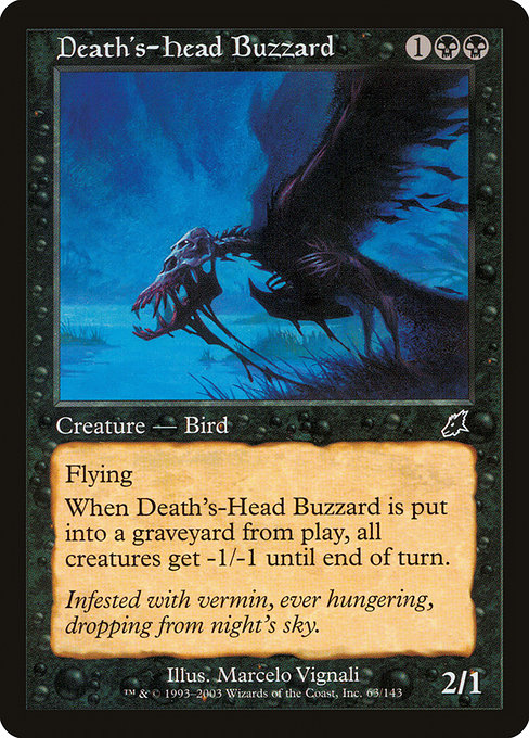 Buse tête de mort|Death's-Head Buzzard