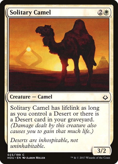 Dromadaire solitaire|Solitary Camel