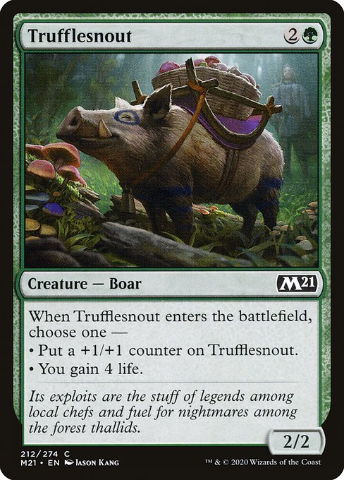 Cochon truffier|Trufflesnout
