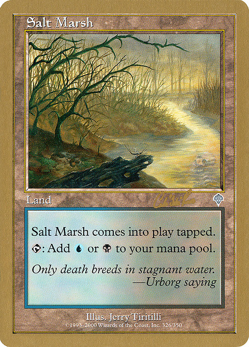 Salt Marsh (WC02)