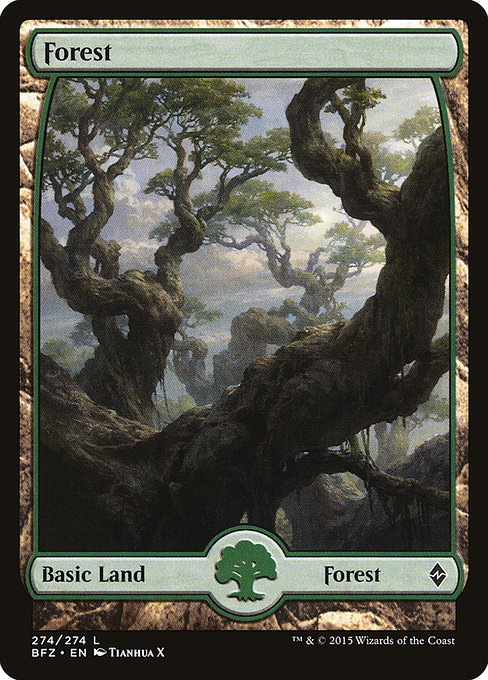 Forest (Battle for Zendikar #274)