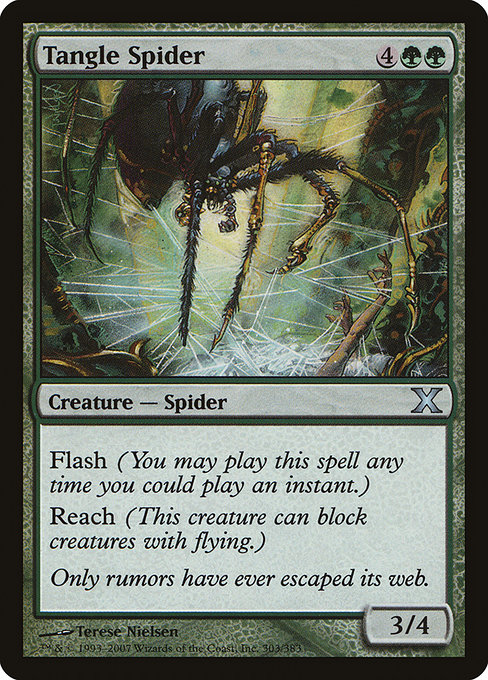Araignée de la Filandre|Tangle Spider