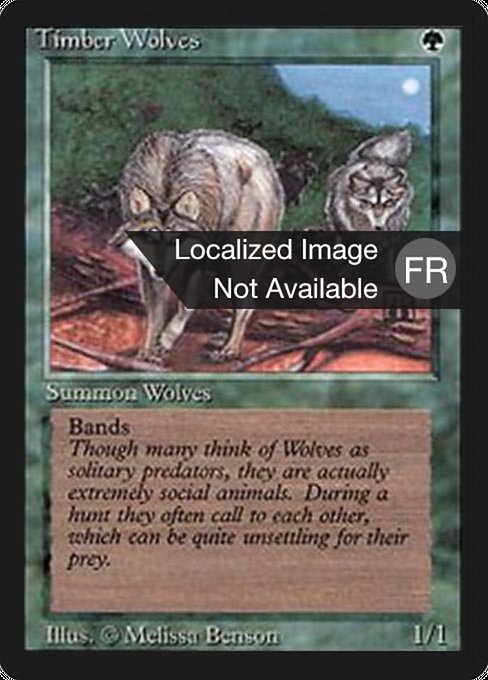 Timber Wolves (Foreign Black Border #219)