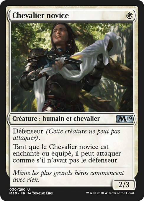 Chevalier novice