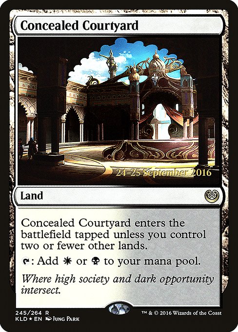 Cour dissimulée|Concealed Courtyard