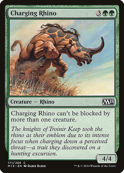 Rhinocéros fougueux|Charging Rhino