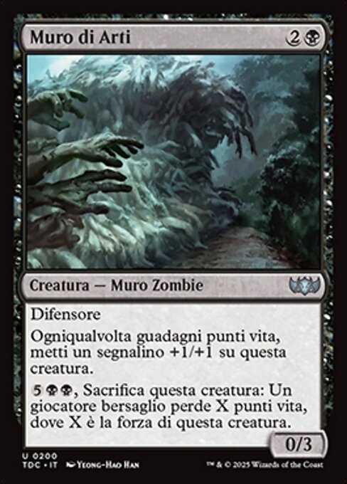 Muro di Arti