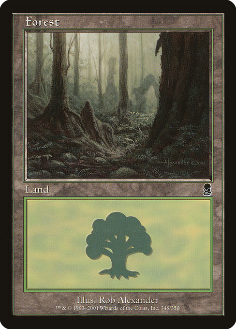 Forest (ody) 348