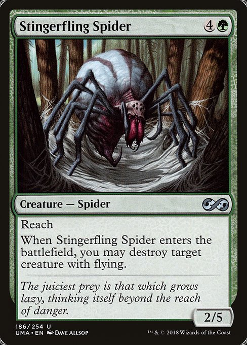 Araignée lance-dard|Stingerfling Spider