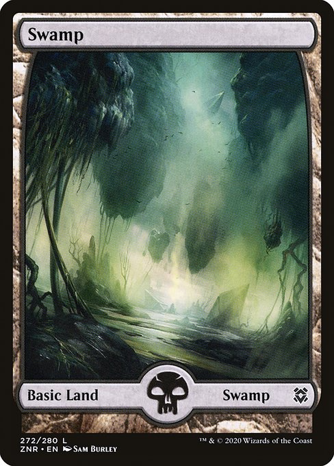 Swamp (znr) 272