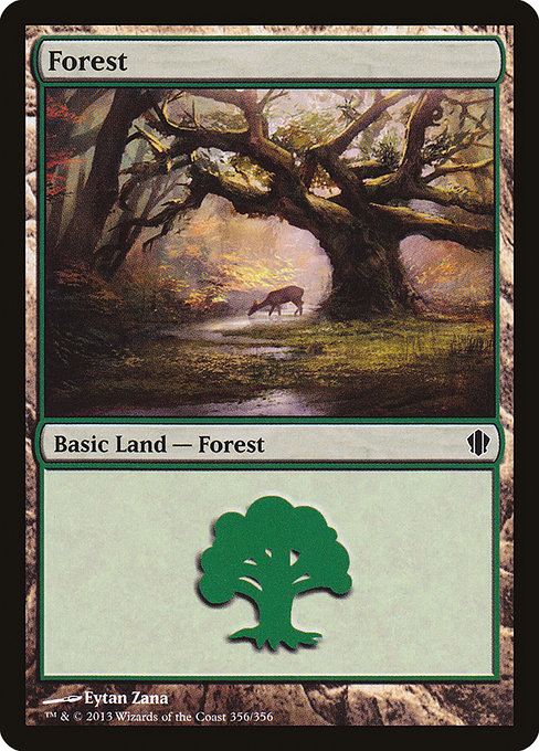 Forest (C13)
