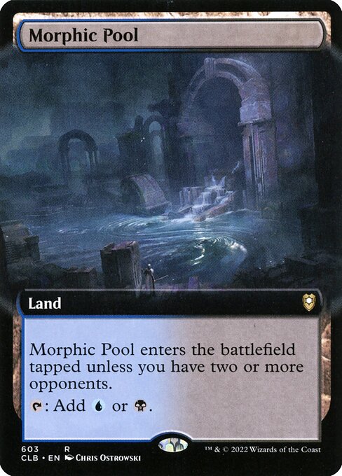 Bassin morphique|Morphic Pool