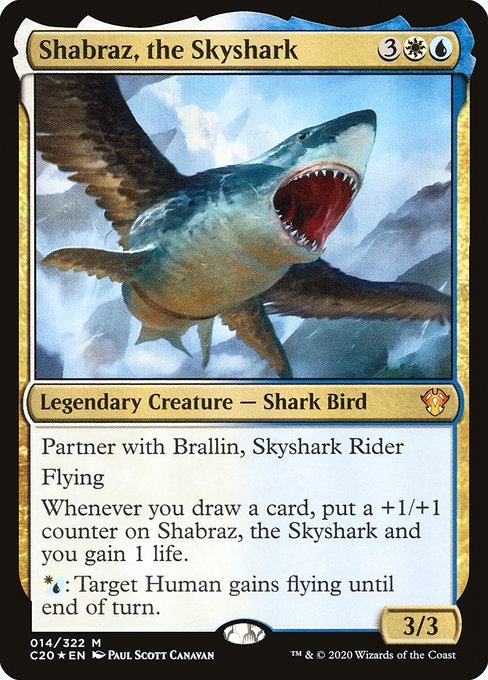 Shabraz, the Skyshark (c20) 14