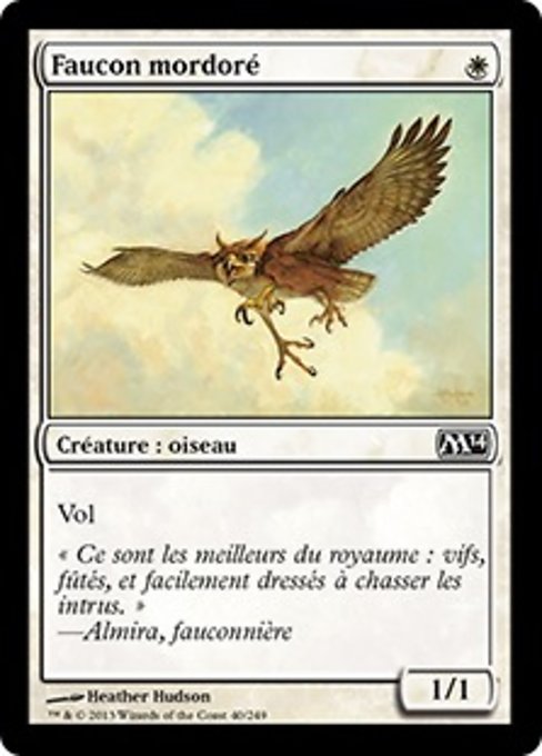 Suntail Hawk (Magic 2014 #40)