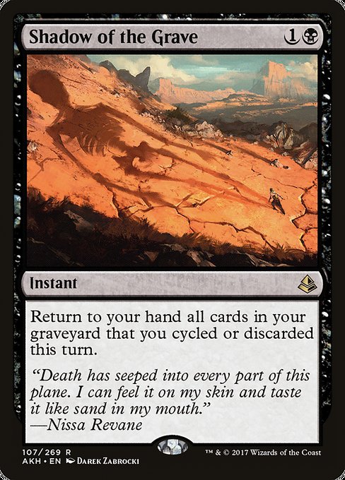 Shadow of the Grave (AKH)