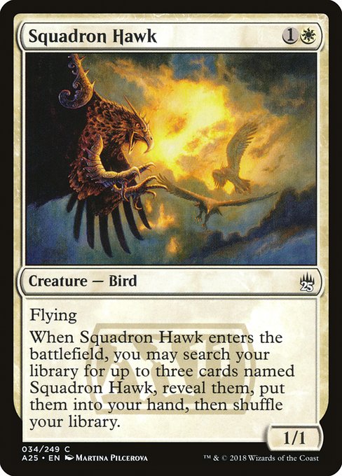 Squadron Hawk (Masters 25 #34)