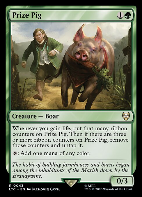 Cochon de compétition|Prize Pig