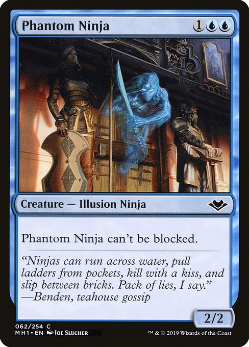 Ninja fantomatique
