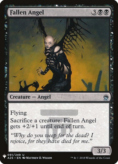 Fallen Angel (The List #A25-91)