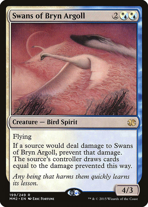 Cygnes de Bryn Argoll|Swans of Bryn Argoll