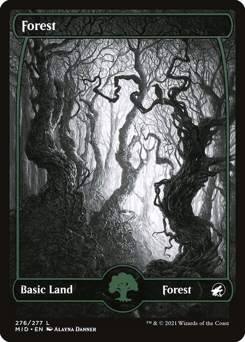 Forest (Innistrad: Midnight Hunt #276)