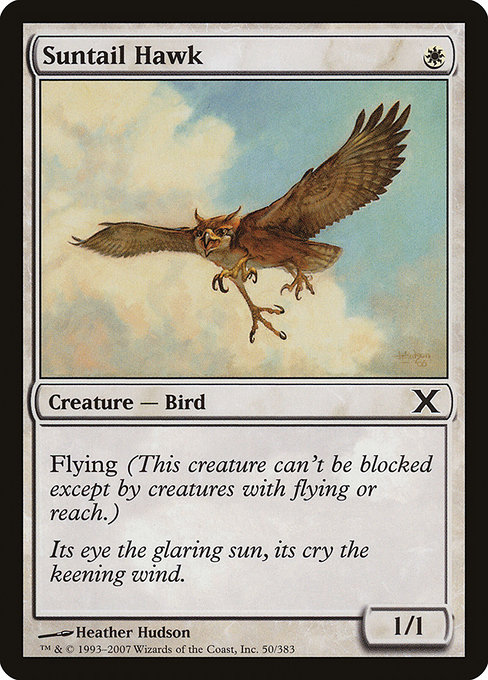 Suntail Hawk (Tenth Edition #50)