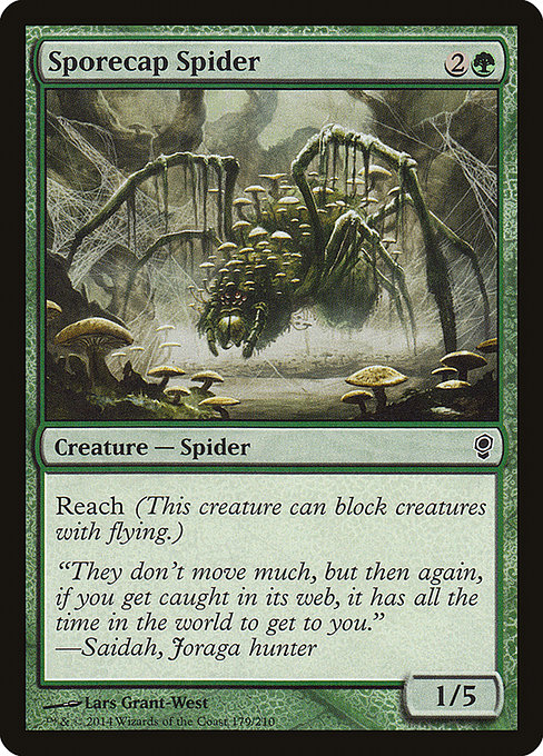 Araignée sporophore|Sporecap Spider