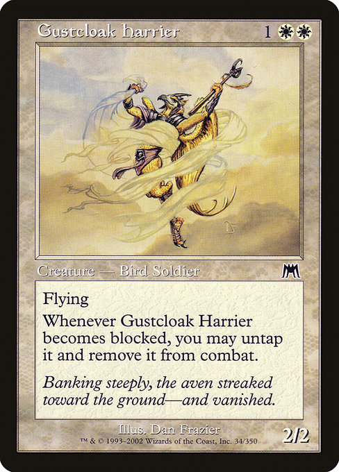 Busard soufflecape|Gustcloak Harrier