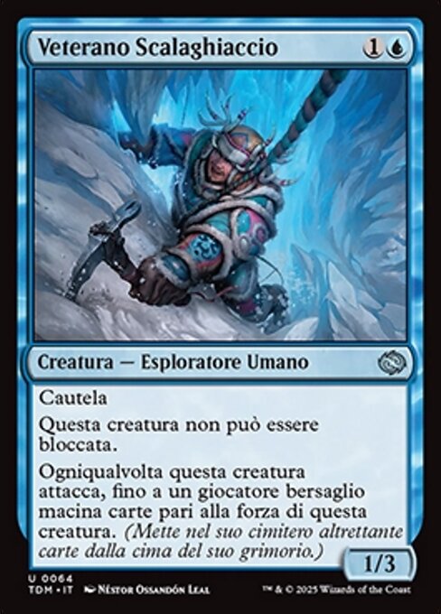 Veterano Scalaghiaccio