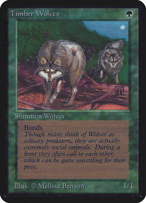 Loups des forêts|Timber Wolves