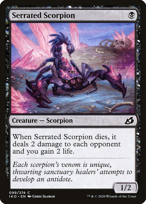 Scorpion barbelé|Serrated Scorpion