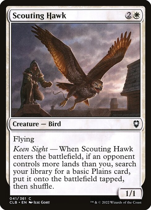 Scouting Hawk card image