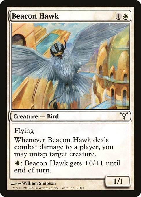 Faucon flambeau|Beacon Hawk