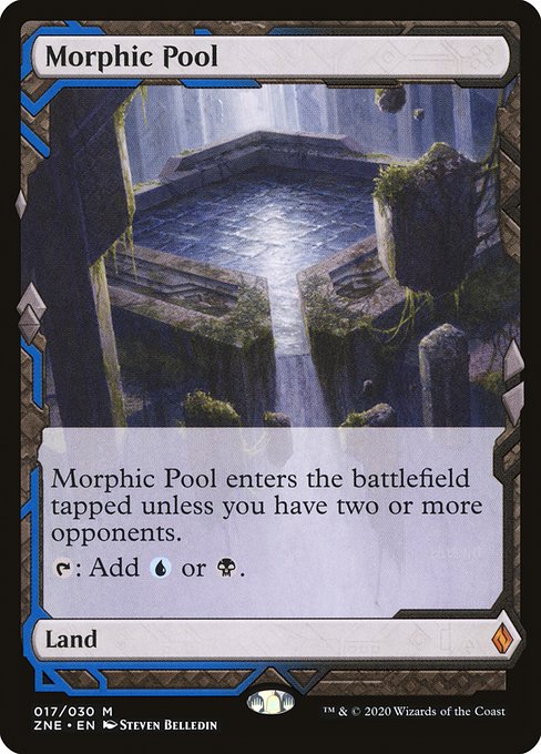 Bassin morphique|Morphic Pool