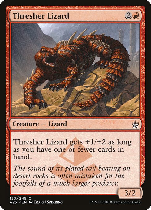 Lézard batteur|Thresher Lizard