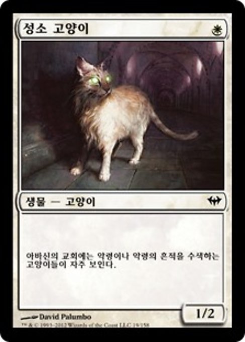 Sanctuary Cat (Dark Ascension #19)