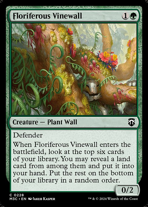 Mur de vignes florifères|Floriferous Vinewall