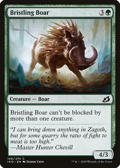 Sanglier hérissé|Bristling Boar
