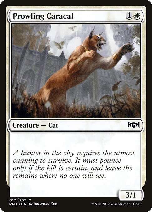 Prowling Caracal (Ravnica Allegiance #17)