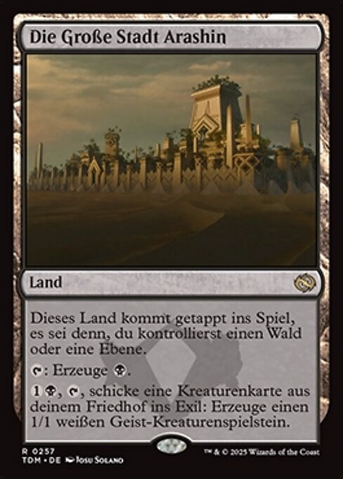Die Große Stadt Arashin