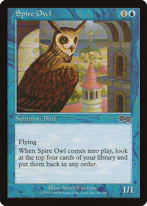 Hibou des clochers|Spire Owl