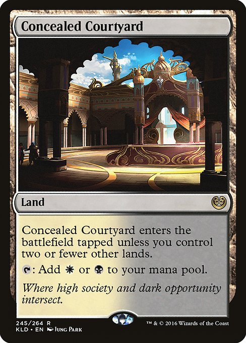 Cour dissimulée|Concealed Courtyard