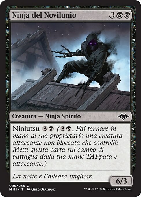 Ninja del Novilunio