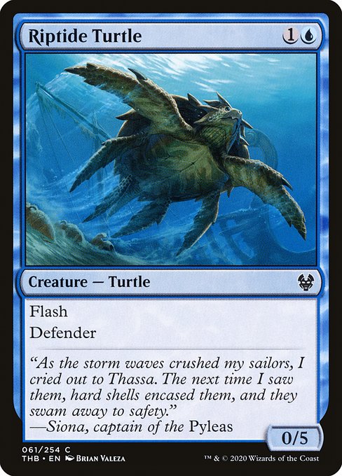 Riptide Turtle (THB)