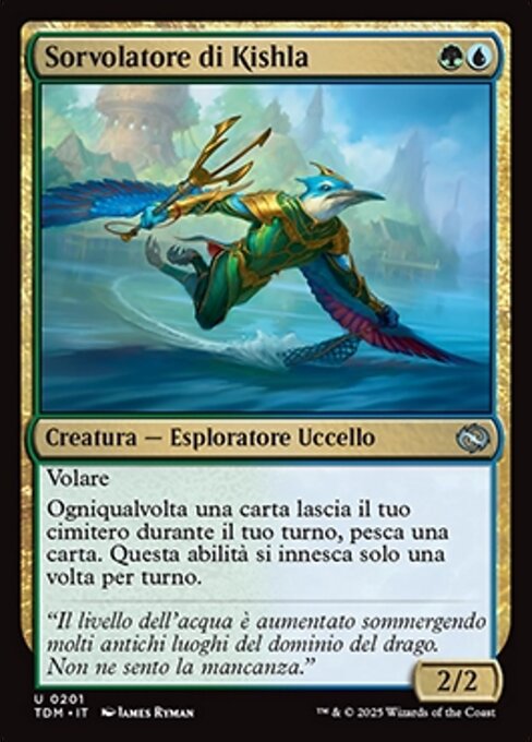 Sorvolatore di Kishla