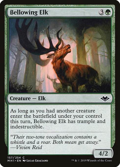 Élan beuglard|Bellowing Elk