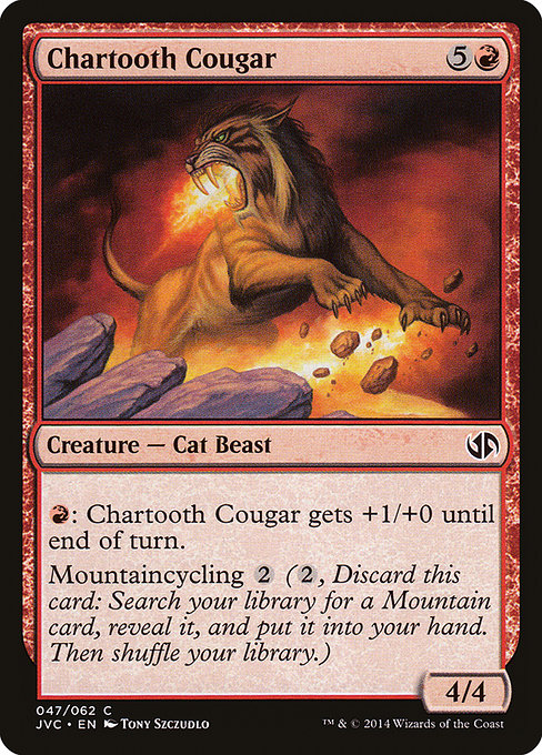 Chartooth Cougar (JVC)