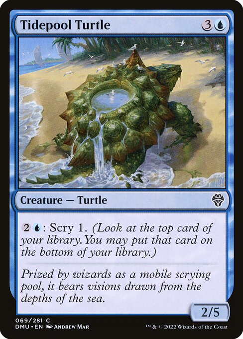 Tortue intercotidale|Tidepool Turtle