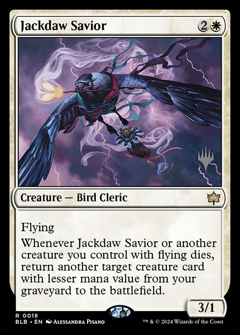 Sauveur choucas|Jackdaw Savior