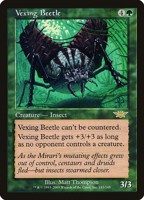 Scarabée agaçant|Vexing Beetle